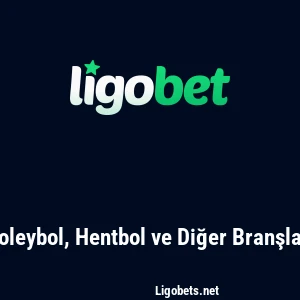 Ligobet Voleybol, Hentbol ve Diğer Branşlarda Bahis